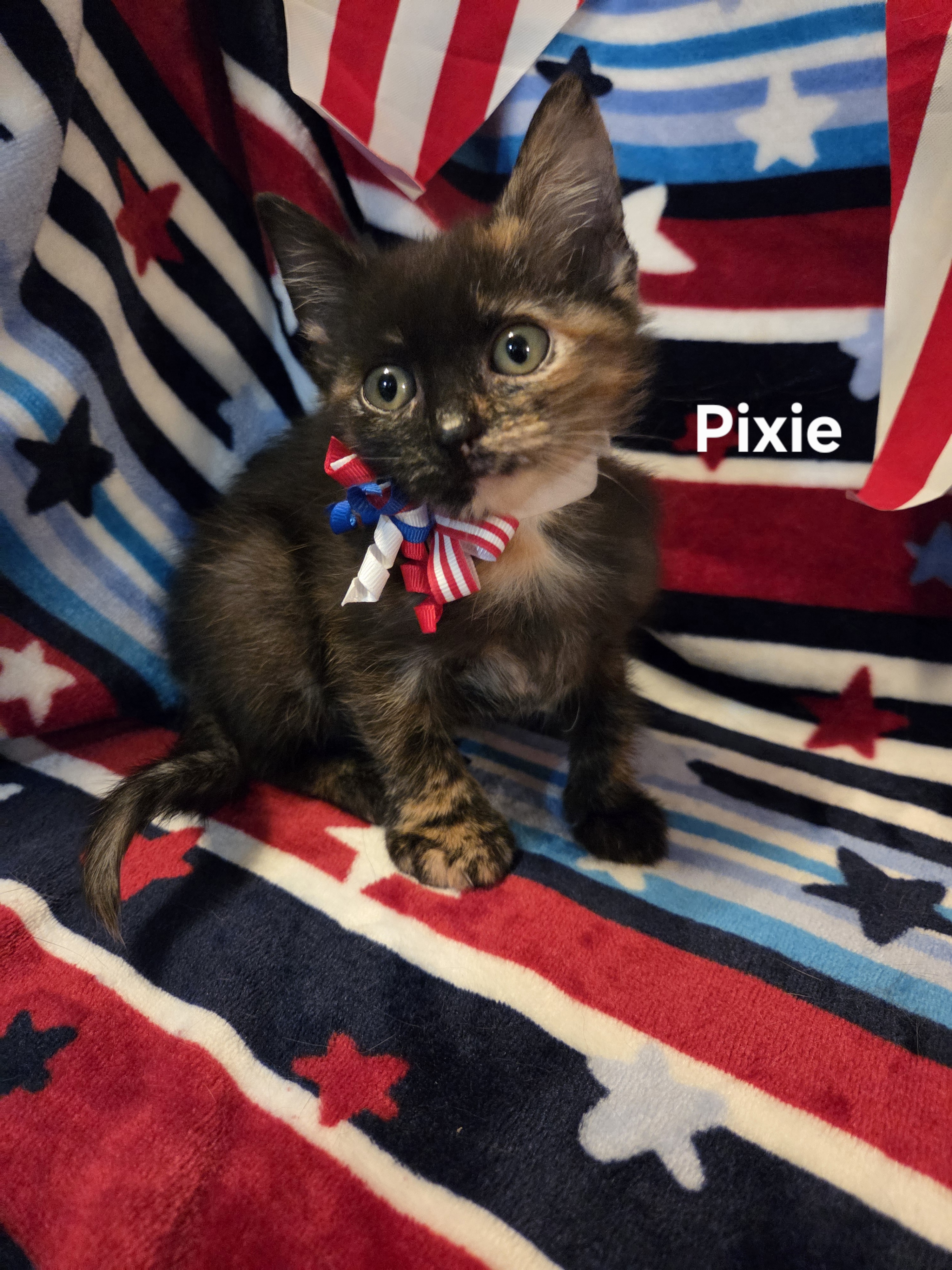 Pixie